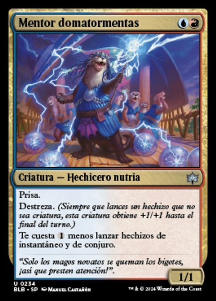 Stormcatch Mentor