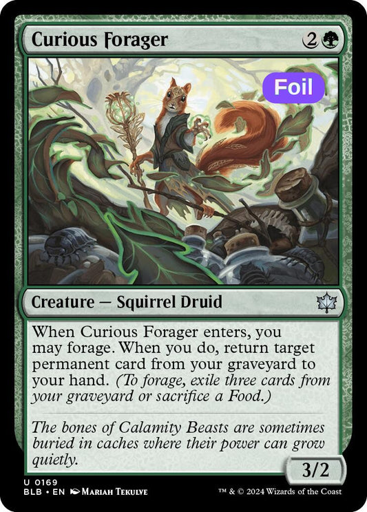 Curious Forager