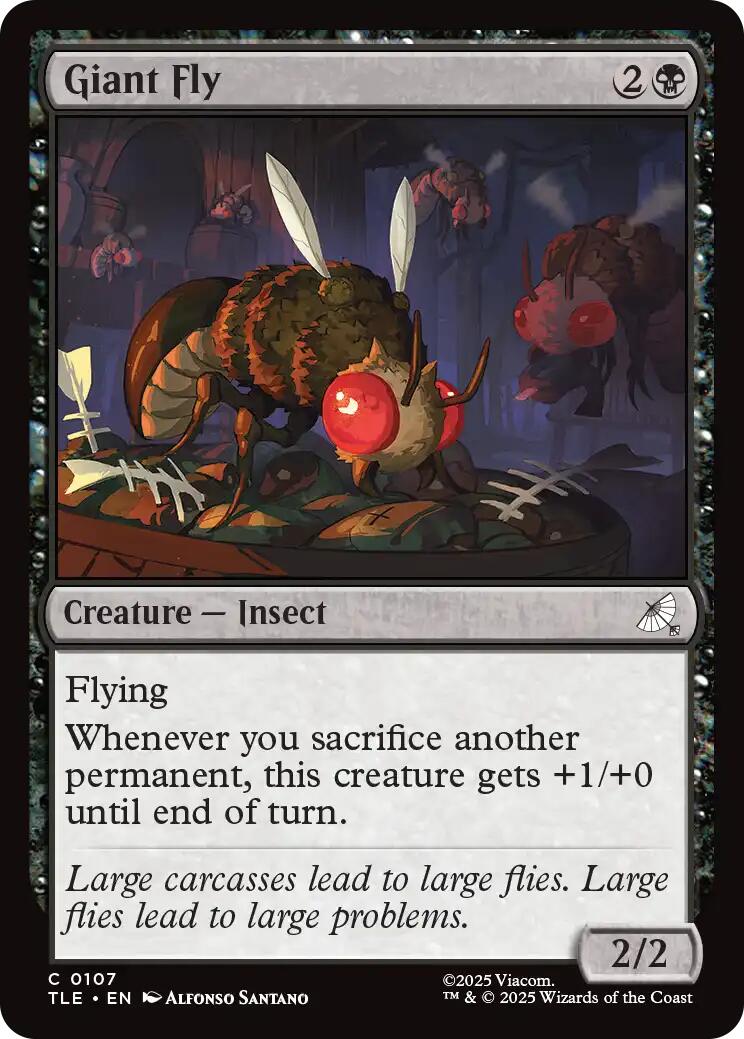 Giant Fly
