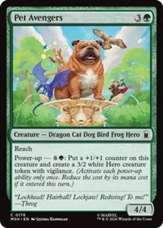 Pet Avengers